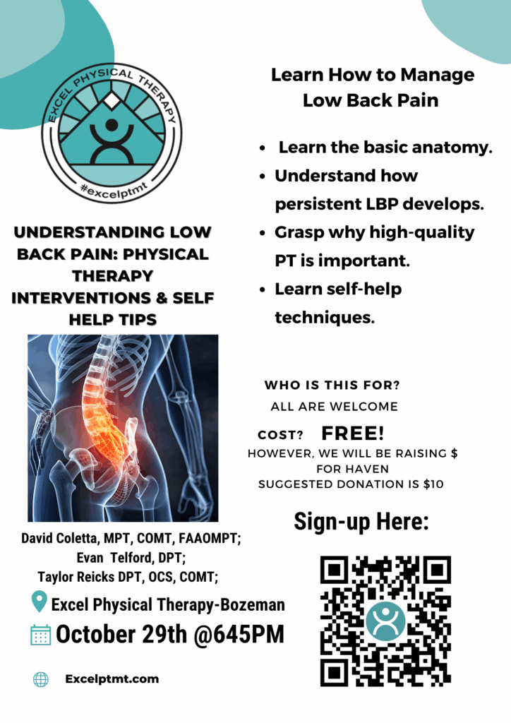 Excel Physical Therapy Low Back Pain Workshop